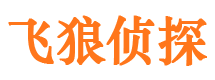 乐业市侦探公司